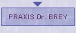 PRAXIS Dr. BREY